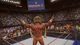 Игра WWE 2K15 для ПК (Ключ активации Steam) - изображение 2