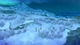 Гра Ni No Kuni Remastered: Wrath of the White Witch - для Nintendo Switch - Europe (Ключ активації) - зображення 5