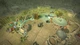 Дополнение Age of Wonders: Planetfall - Invasions для ПК (Ключ активации Steam) - изображение 2