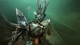 Дополнение Destiny 2: The Witch Queen Deluxe Edition для Xbox One/Series - Europe (Ключ активации) - изображение 3