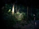 Фонарь налобный аккумуляторный Naturehike TD-02 NH00T002-D Серо-голубой (6927595741740) - изображение 2