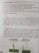 НУШ. Великий зошит з української мови. 4 клас. Довідник-практикум - Іщенко О. Л., Гайова Л. А. (9789669454034) - изображение 4