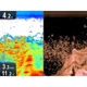 Ехолот Raymarine DragonFly 7 PRO - зображення 3