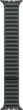 Pasek Apple Magnetic Link do Apple Watch 45mm M/L Evergreen (MTJD3) - obraz 2