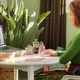 Мишка Logitech Lift Vertical Ergonomic (910-006478) Rose - зображення 8