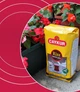 Турецький чорний чай Caykur Rize 1 кг, моночай, розсипчастий дрібнолистовий чай - зображення 7
