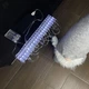 Гирлянда Прищепка светодиодная для фото, 20 LED, 3 м, батарейки 3шт + USB, цвет холодный белый - изображение 5