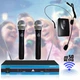 Вокальная радиосистема DM Audio WM-501R-2 с двумя динамическими беспроводными микрофонами для караоке и конференций + Радио микрофон с оголовьем - изображение 1