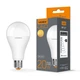LED лампа VIDEX A65e 20W E27 4100K VL-A65e-20274 - изображение 1