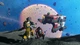 Игра Starbase для ПК (Ключ активации Steam) - изображение 4