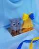 Сувенирное мыло подарки на День учителя "Сова+Колокольчик" - изображение 3