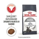 Сухой корм Royal Canin Dental Care для кошек 8кг - изображение 2