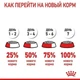 Сухой корм Royal Canin Dental Care для кошек 8кг - изображение 4