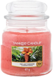 Свічка Yankee Candle The Last Paradise 411 г (5038581111087) - зображення 1