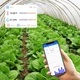Термогігрометр Inkbird IBS-TH1 NTC з Bluetooth, виносним сухим датчиком та функцією логгера | Температурний щуп NTC - изображение 2
