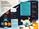 Чого не вчать у школі. Відповіді на найважливіші питання в інфографіці - изображение 9