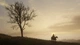Ключ активації Комплект Red Dead Redemption та Red Dead Redemption 2 для Xbox One/Series S/X - зображення 9