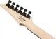 Электрогитара Ibanez GRG120QASP-BGD (234183) - изображение 7