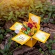 Об'ємна 3Д листівка коробочка "Осінні квіти" на День учителя - зображення 4
