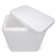 Изотермический контейнер Thermo Easy Cool 25L (4823082711994) - изображение 2