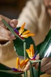 Конструктор LEGO Icons Райская птица (10289) [78505] - зображення 6