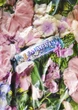 Зубная Паста Marvis Garden collection Завивистая лилия 75 мл (8004395112814) - изображение 2