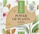 Крем для лица Lirene Power of Plants Питательный с Миндалем 50 мл (5900717771413) - изображение 1