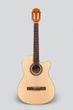 Гитара классическая 4/4 Deviser L-330 NT - изображение 1