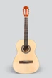 Гитара классическая 4/4 Deviser L-310 NT - изображение 1