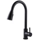Змішувач для кухні Globus Lux ALPEN SBT1-2031-BB - изображение 1