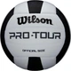 Волейбольний М'яч Wilson Pro Tour(WTH20119XB) 5 - зображення 1