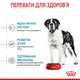 Сухий корм для собак Royal Canin (Роял Канін) GIANT JUNIOR для цуценят 15кг - зображення 4