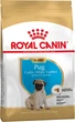Сухий корм Royal Canin (Роял Канін) PUG PUPPY для цуценят породи Мопс 1,5кг - изображение 1