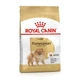 Сухий корм для дорослих собак Royal Canin (Роял Канін) POMERANIAN ADULT породи Шпіц 0,5кг - зображення 1