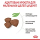 Сухий корм для собак Royal Canin (Роял Канін) PUPPY MINI для цуценят 8кг - изображение 5