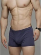 Трусы-боксеры Libertine 1118 (16492) 3XL Синие (4821118164927) - изображение 1