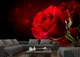 3D Фото Обои PHOTODECOR "Роза над водой" - изображение 4