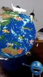 Настільний глобус Зоологічний без підсвічування англійською мовою підтримує Multi Globe 220 мм Glowala - зображення 5
