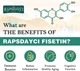Липосомальный физетин с кверцетином 1200 мг Rapsdayci – 60 капсул - изображение 4
