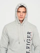 Худи мужское Tommy Hilfiger 11212.2 S Серое - изображение 4