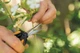 Ножиці Fiskars Solid Micro-Tip SP13 1051600 - зображення 9
