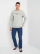 Свитшот мужской Tommy Hilfiger 11201.2 S Серый - изображение 3
