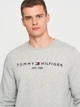 Свитшот мужской Tommy Hilfiger 11201.2 S Серый - изображение 4