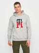 Худи мужское Tommy Hilfiger 11208.2 S Серое - изображение 1