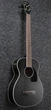 Бас-гітара акустична IBANEZ PCBE14MH WK (230881) - зображення 2