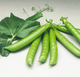 Насіння Горох Сомервуд, 50 шт (Syngenta) - зображення 2