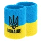 Напульсник спортивный махровый UKRAINE BC-9282 1шт Цвет: Желтый-голубой - изображение 1