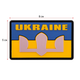 Шеврон патч на липучці "Прапор України з гербом UKRAINE" TY-9924 сірий-жовтий-блакитний - зображення 8