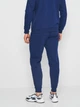 Спортивные штаны утепленные мужские ROZA 230449 3XL Синие (4824005681714) - изображение 2