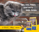 JOSERA Marinesse 10 кг - Сухий корм з лососем для котів - изображение 2
